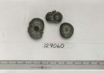 Click for 1 image(s) for this accession. FRUIT
